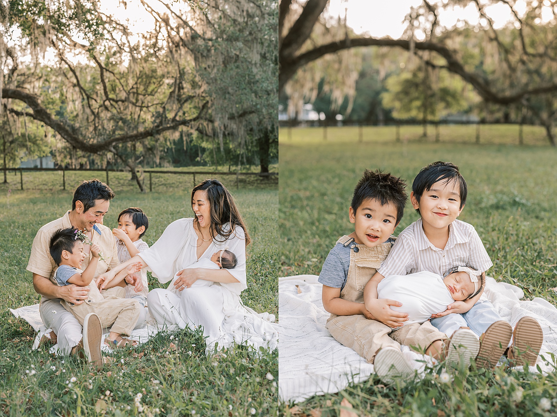 family sitting in the grassy field at sunset holding newborn baby girl