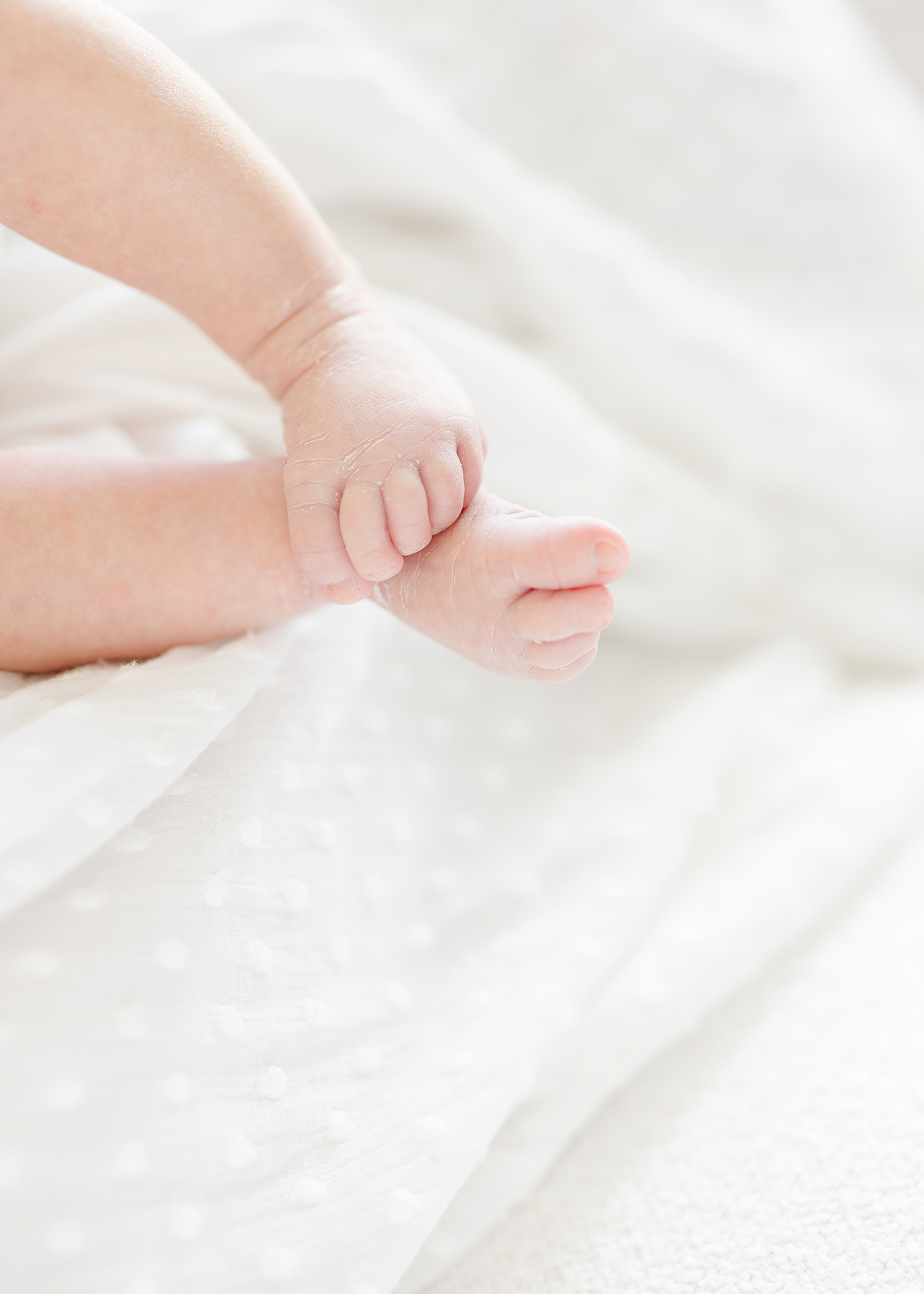 An in home newborn portrait of a baby girl's feet.
