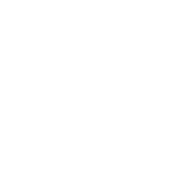 Jylian Nicole Portraits Logo