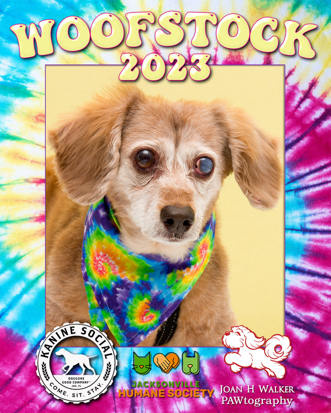 WOOFSTOCK 2023