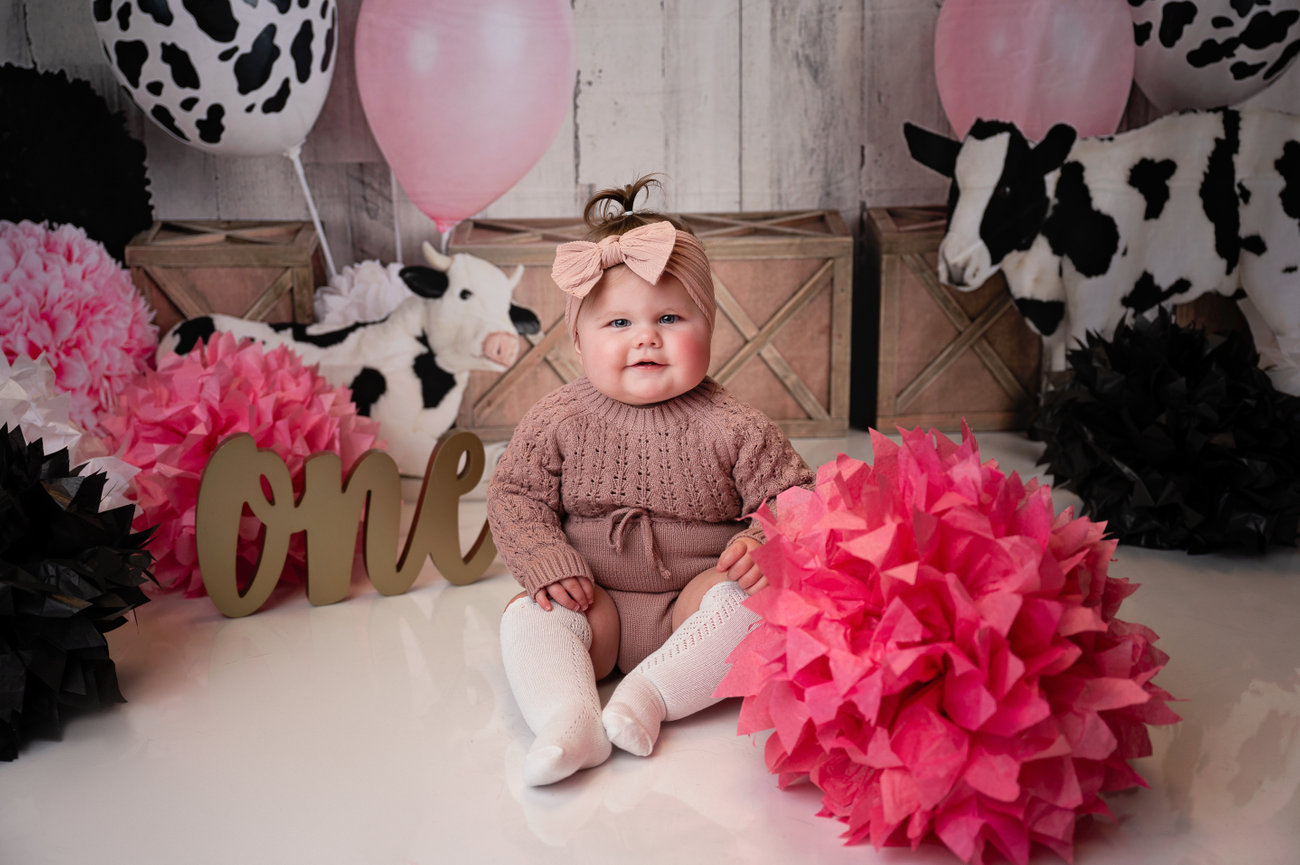 1st year Birthday photos and cake smash La Crosse Wisconsin