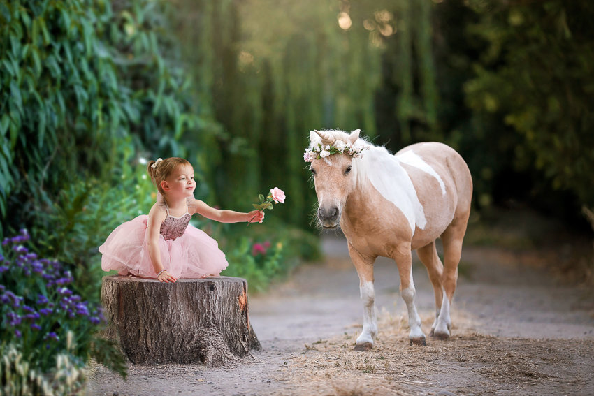 Girl and a pony with Storybook Images