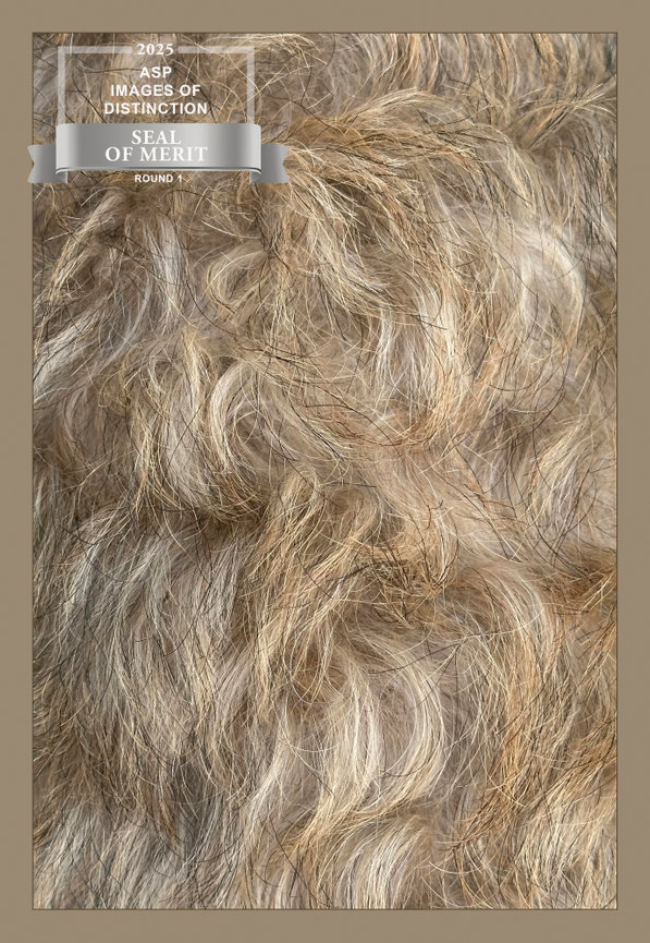 Curly, textured hair in shades of blonde and light brown, showcasing natural waves and movement.
