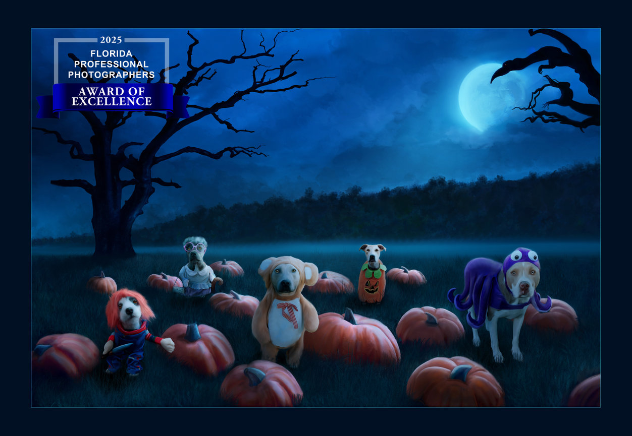 Five dogs in costumes sit among pumpkins at night, with a full moon and eerie trees in the background.