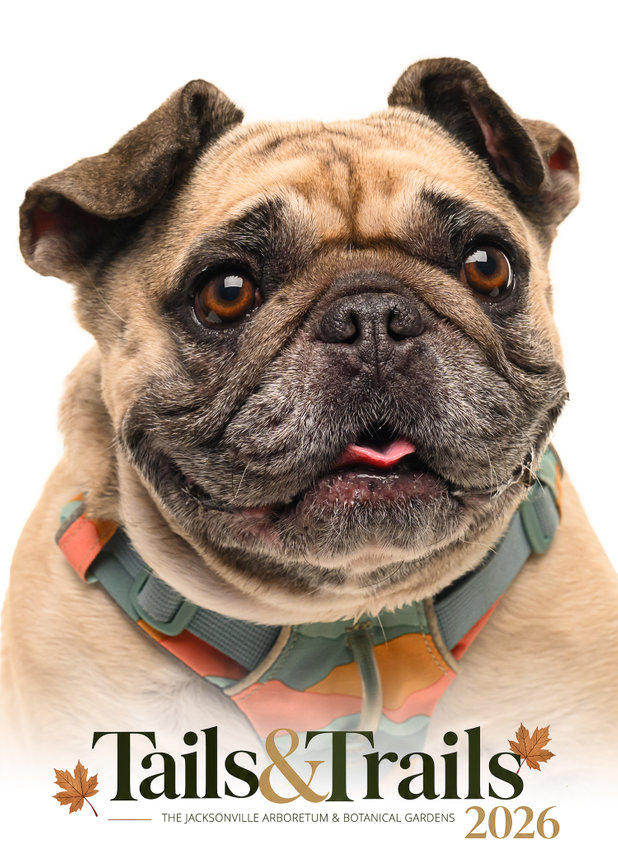 Tails and Trails 2026 dog portrait