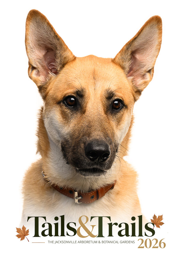 Tails and Trails 2026 dog portrait