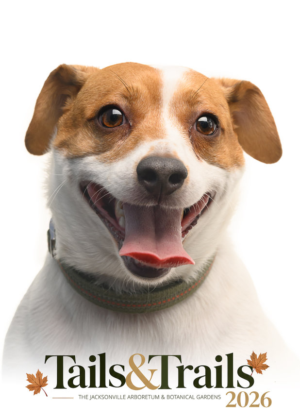 Tails and Trails 2026 dog portrait