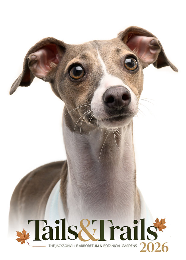 Dog portrait from Tails and Trails 2026