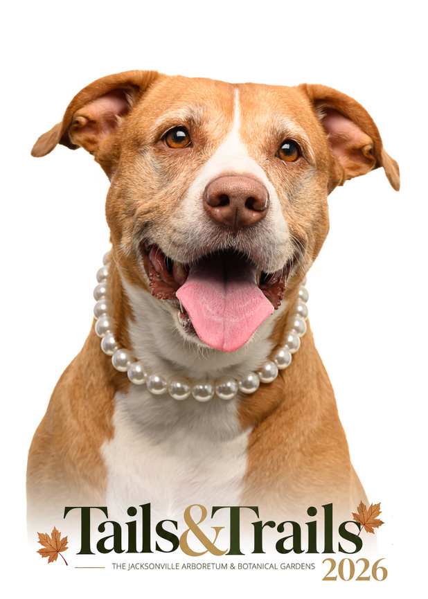 Tails and Trails 2026 dog portrait