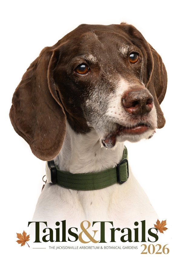 Tails and Trails 2026 dog portrait
