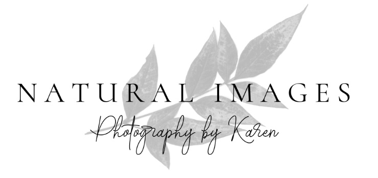 Natural Images Logo