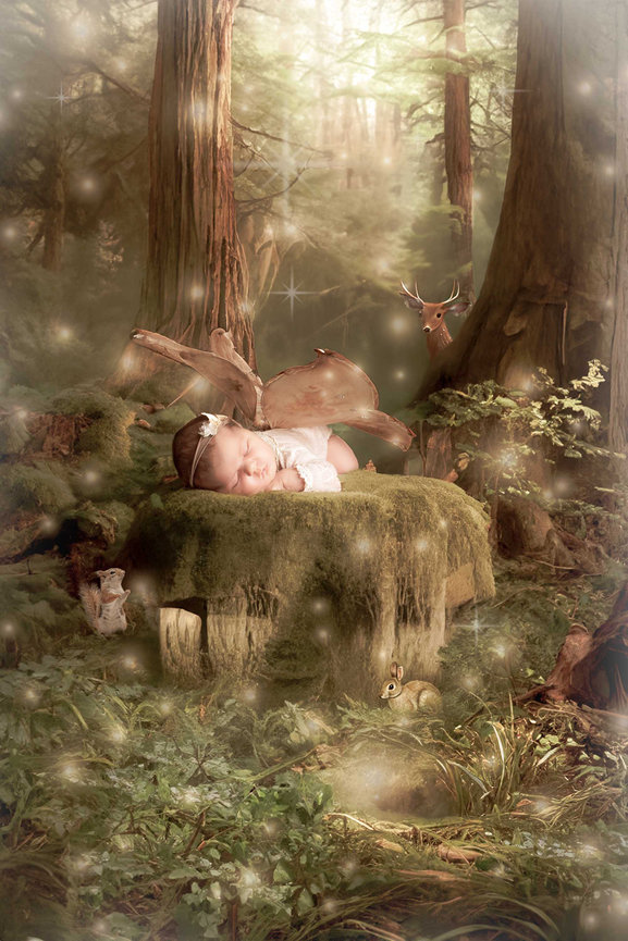 Fairytale newborn portrait Gladstone Queensland