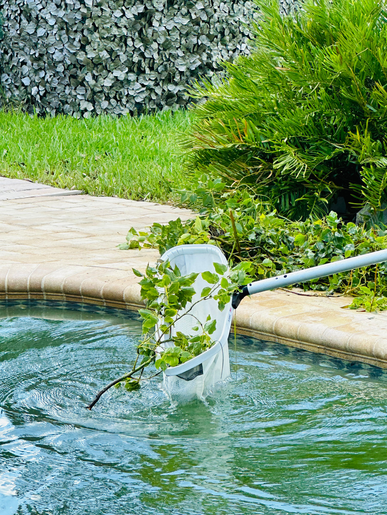 Pool cleanup after leaves and debris from a storm