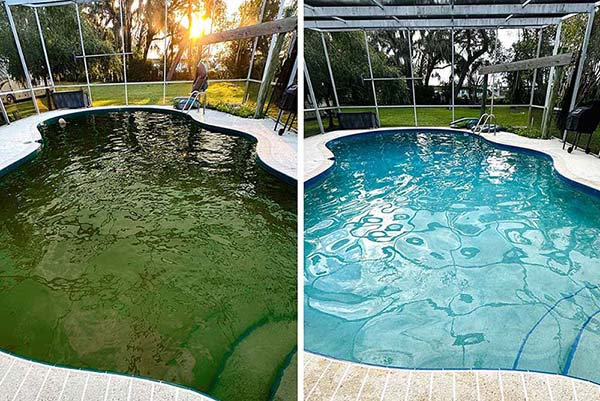 Green swimming pool before and after professional treatment
