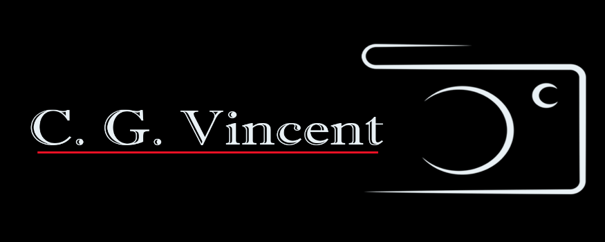 vincent gaudio Logo