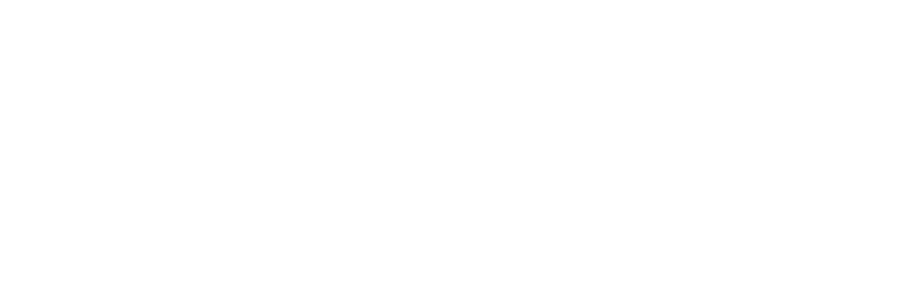 David Bank Studios Logo