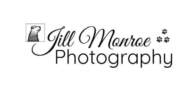 Jill Monroe Logo