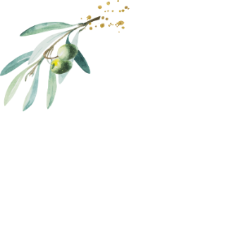 Kiley Stephens Photography Logo