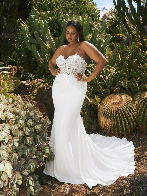 Plus Size Wedding Dresses  Try On Wedding Dresses for Curvy Plus Size  Women - White Bridal Boutiques