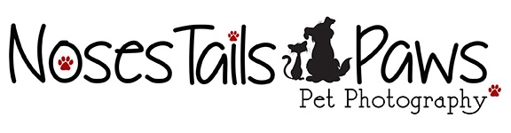 NosesTailsPaws Pet Photography Logo