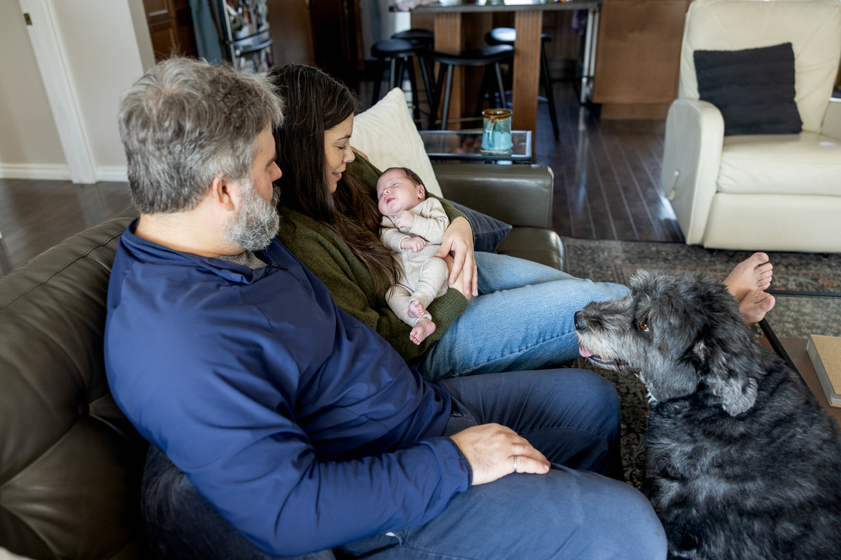 In home lifestyle photography session for family with newborn and dog all cuddled together