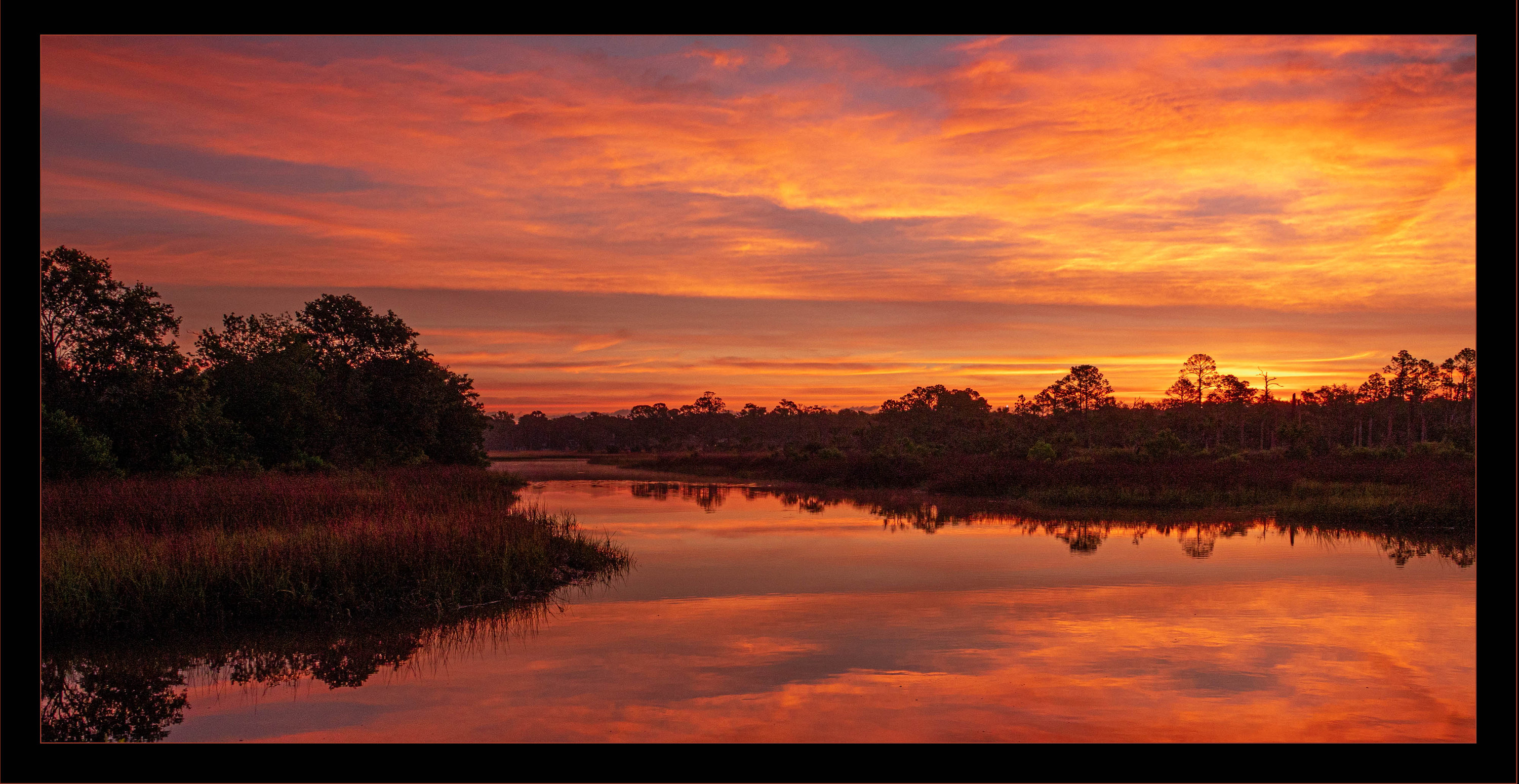 FINE ART Nancy Flynn Photography Jacksonville, FL