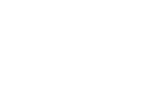 Through A Lens Photography Logo