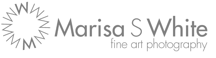 Marisa S White - Fine Art Photography Logo