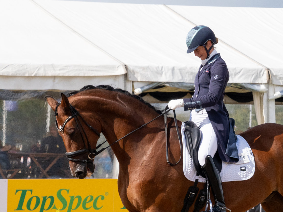 A rider in competition attire guiding a brown horse during an equestrian event near a tent.