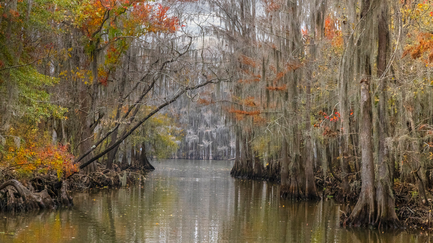 Louisiana Gallery Jim Zuckerman Photography Photo Tours