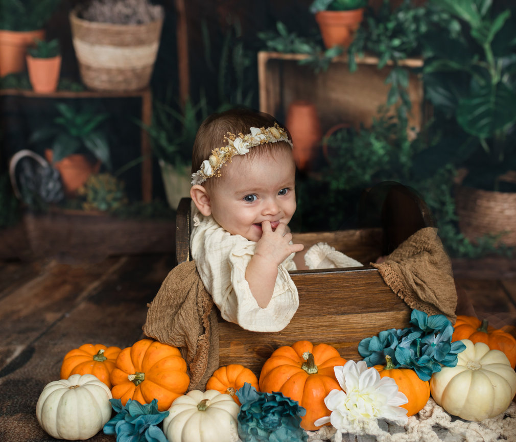 6 month old milestone session