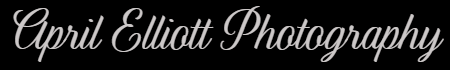 April Elliott Photography Logo