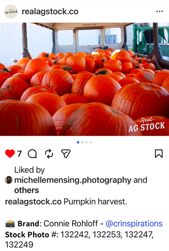 #PumpkinHarvest #HarvestSeason #FarmFresh #Agriculture #RealAgStock #FarmLife #LocalFarming #Harvest2026