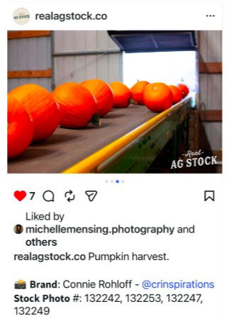 #PumpkinHarvest #HarvestSeason #FarmFresh #Agriculture #RealAgStock #FarmLife #LocalFarming #Harvest2026