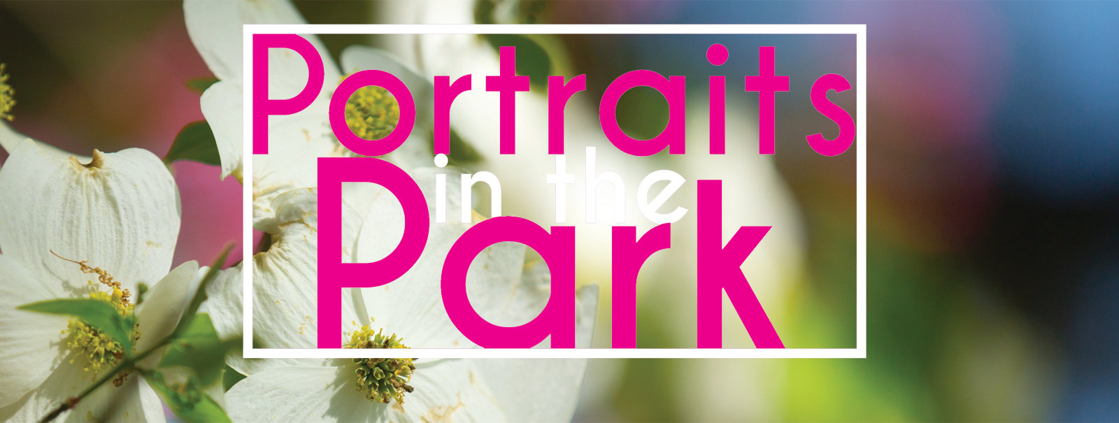 family portraits in the park