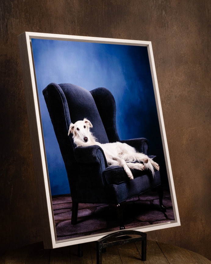 dog portrait printed on metal tray frame wall art displayed on stand