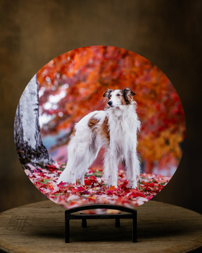 round metal wall art dog portrait displayed on stand