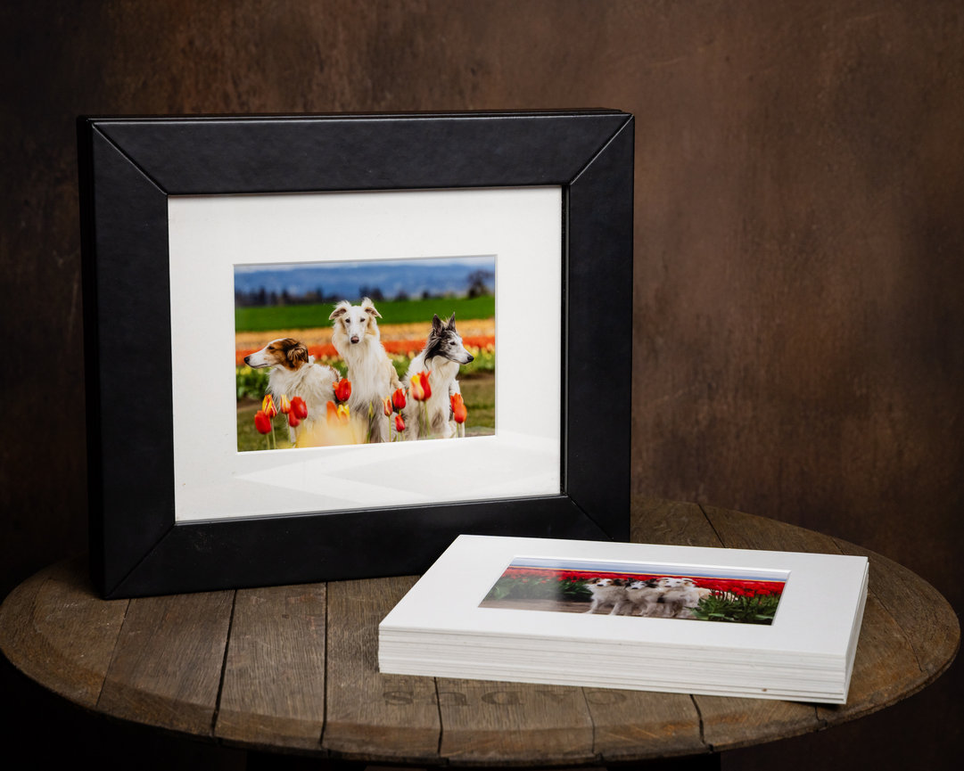 custom pet photography reveal box with matted portrait prints that can be rotated for display