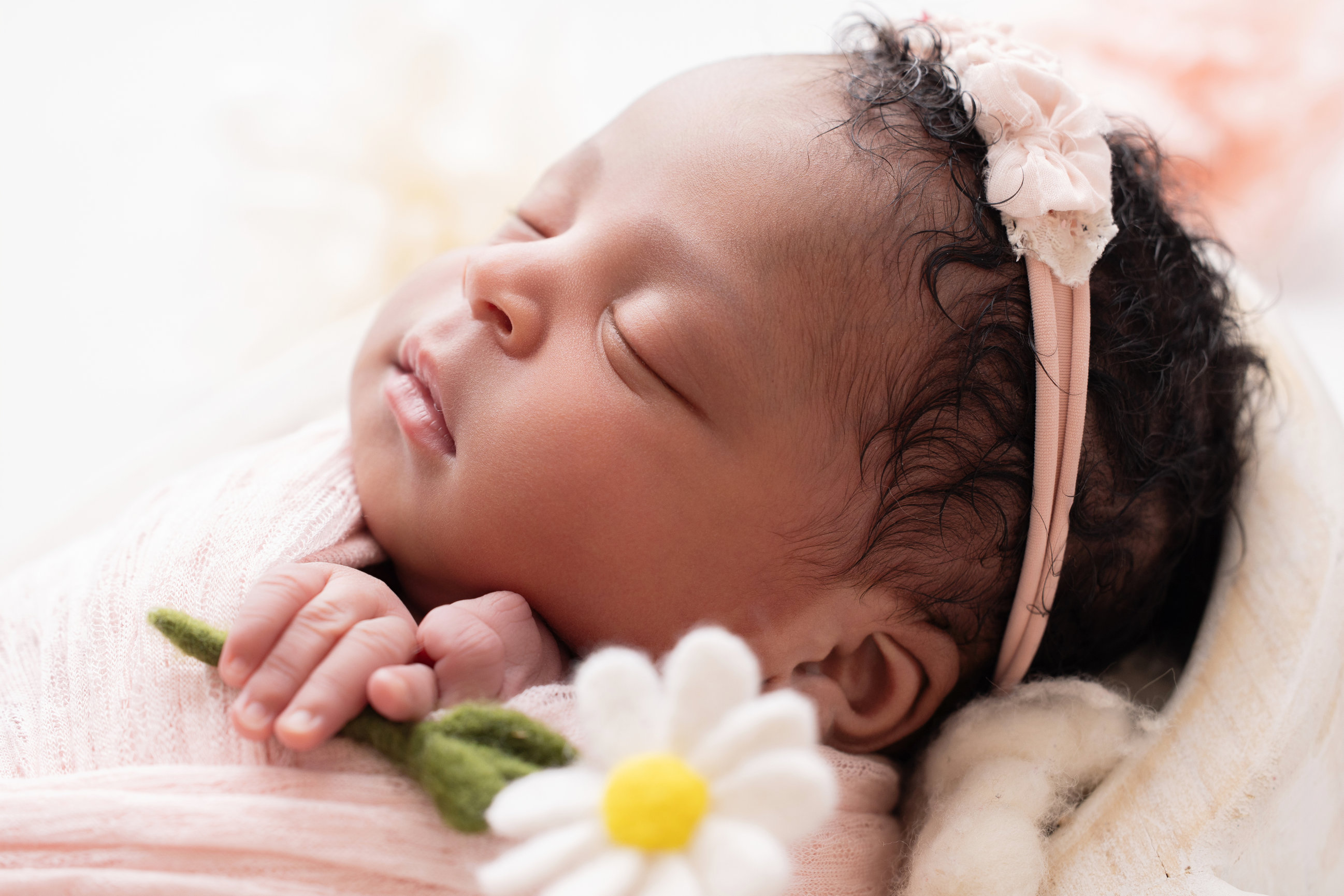 Calgary newborn photography lilac wrap daisies and family Newborn I session photo 3