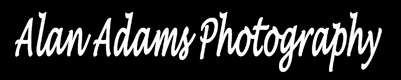 Alan Adams Photography Logo