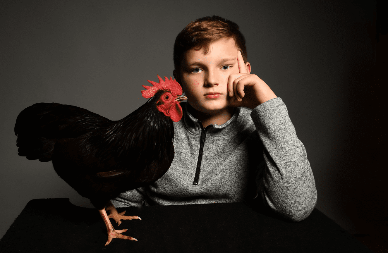 A young boy is a member of 4H proudly poses with his prize winning black-feathered chicken at Kliks Photography in Cedar Rapids.