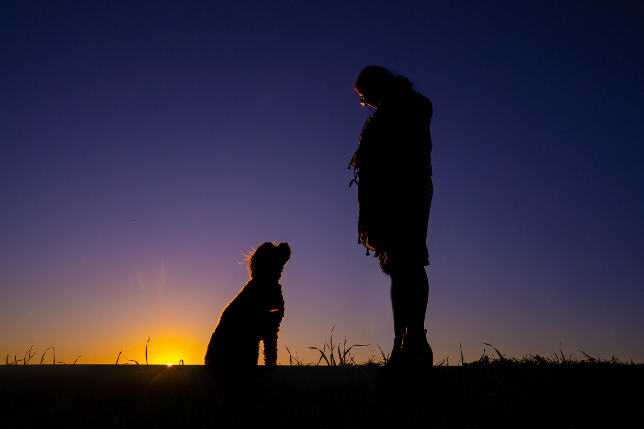 Learn 5 Tips for Capturing Perfect Sunset Silhouettes