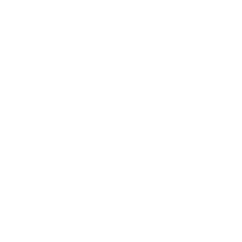 Mimi Foxx Logo