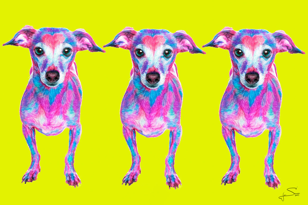 Fun Vibrant dog art for clients home to celebrate their pet.