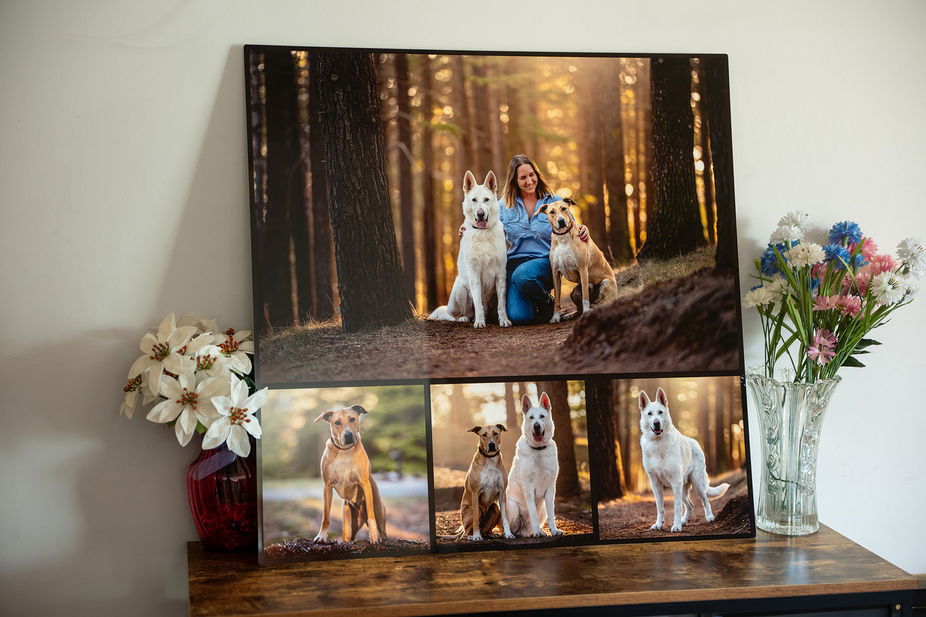 A large multi-image metal collage panel standing on a wooden sideboard between vases of flowers, showing a woman kneeling in a forest with a white shepherd and a tan dog, plus three smaller portraits below