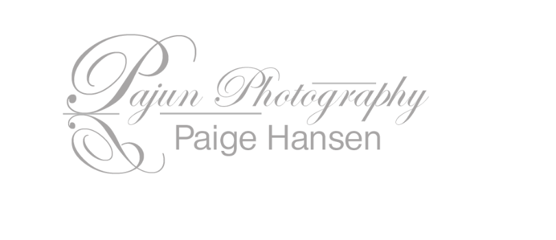 Pajun Photo Logo
