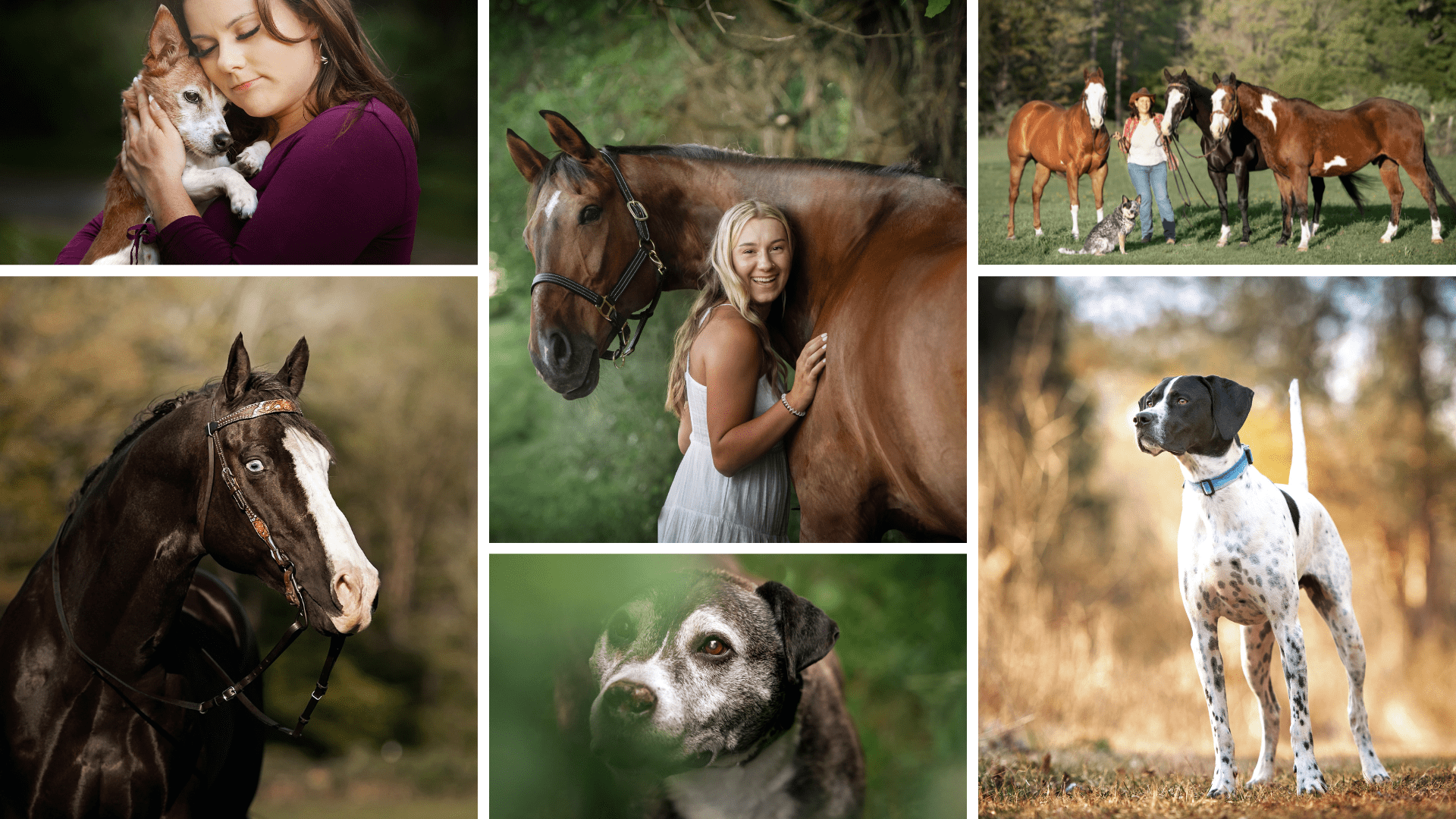 Is Rough Coat Photography the Right Fit? / 5 Reasons YES & NO Rough