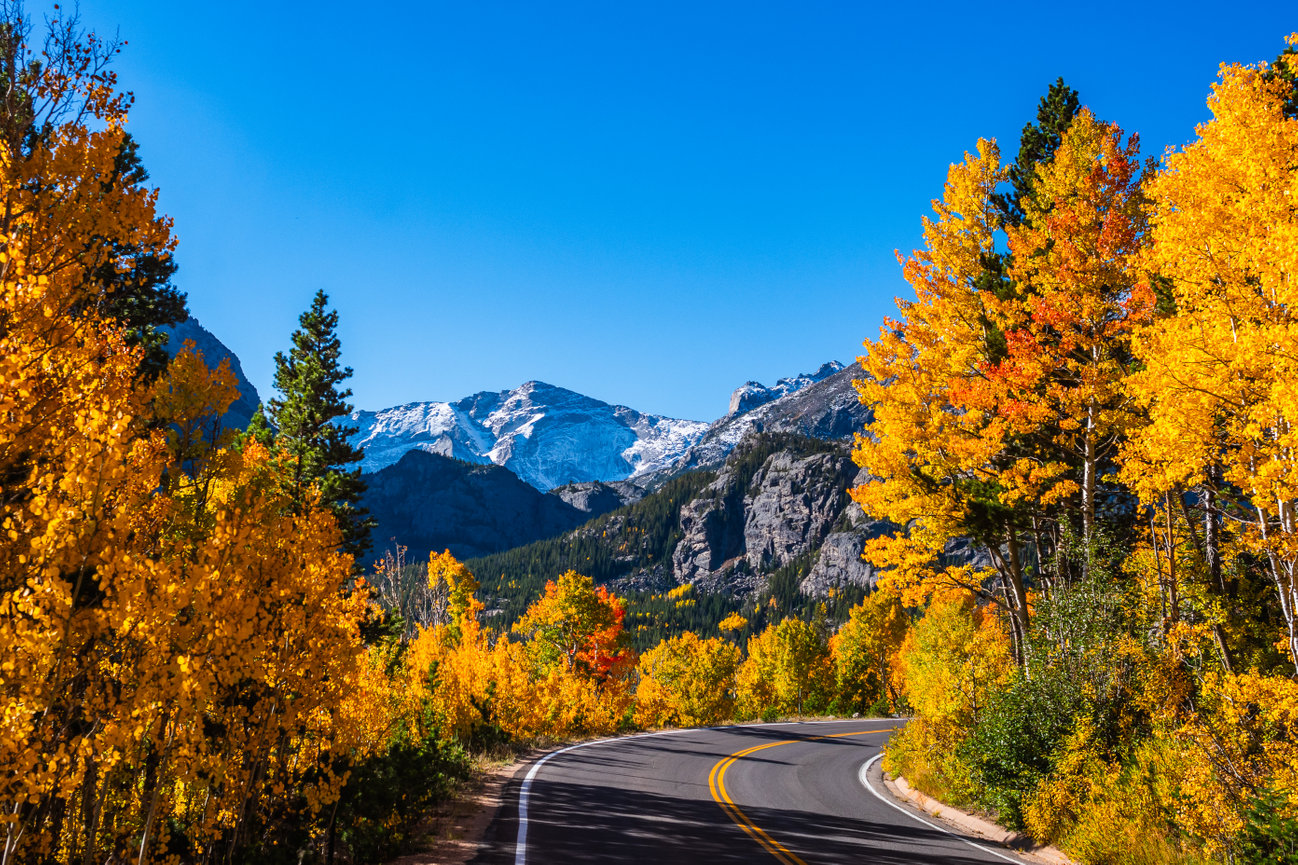 A winding road through vibrant autumn trees with snow-capped mountains in the background.