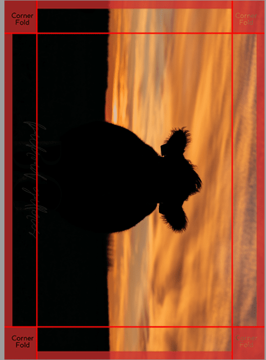 12 x 18 CANVAS Backroad Galleries