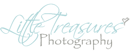 Little Treasures Photography / Boston Magnolias Boutique Logo
